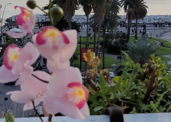 Calabritto 住宿加早餐酒店 那不勒斯